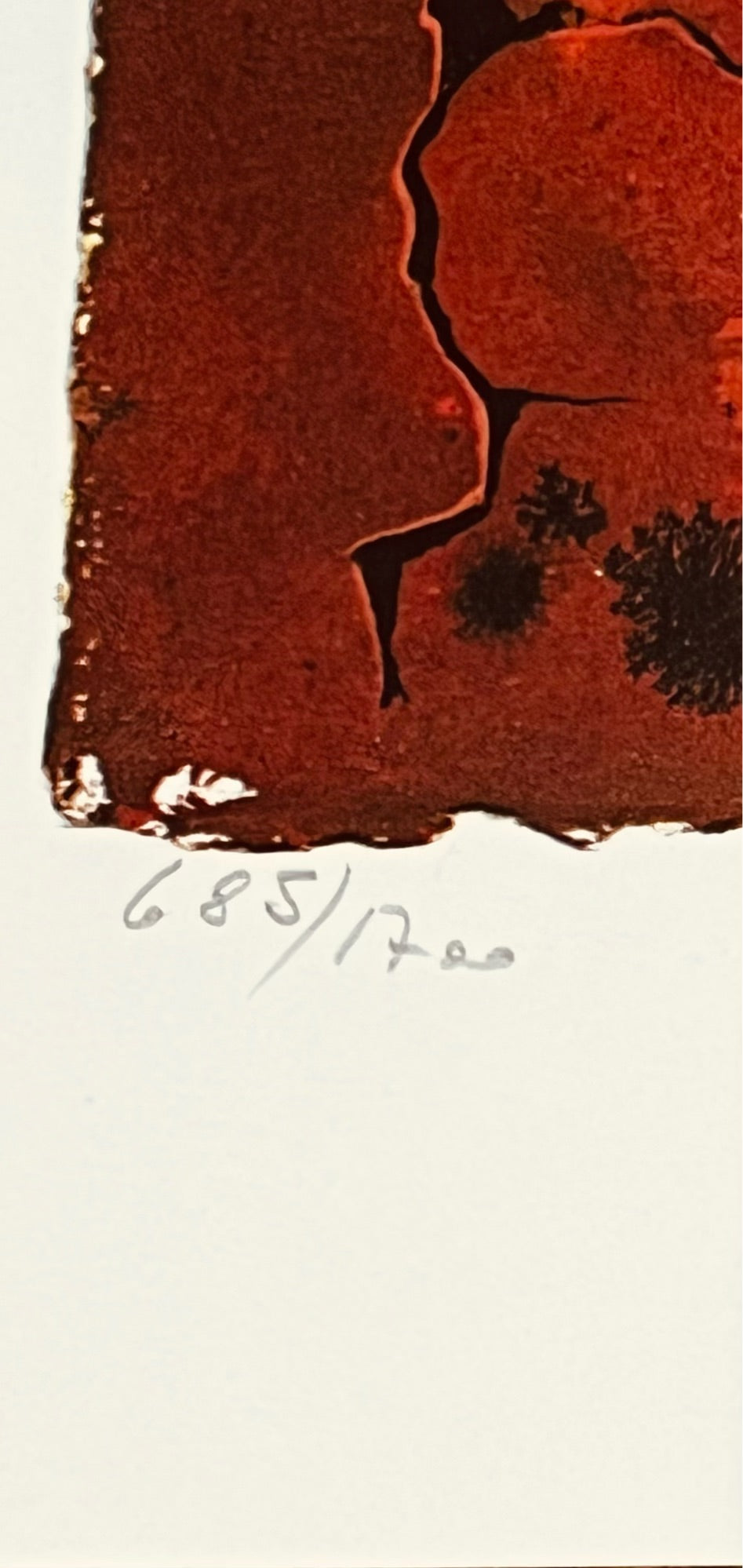Salvador DALI, "Butterfly suite - Auvergne", 1969